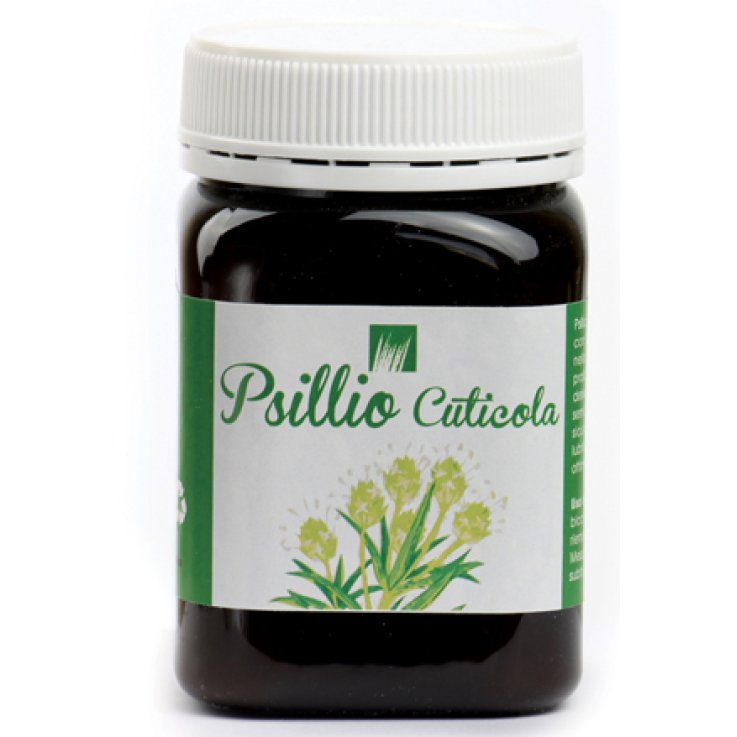 PSILLIO CUTICULA 200G