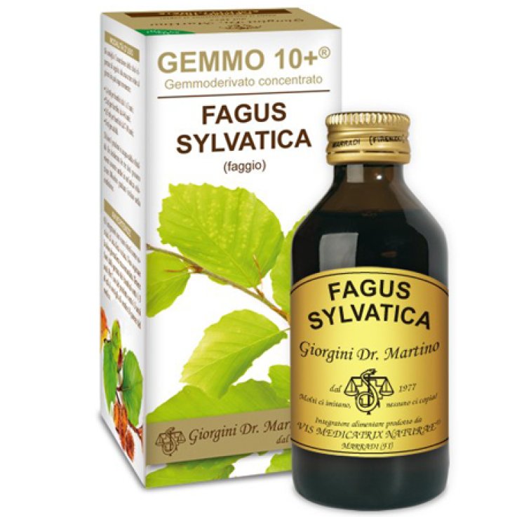 FAGGIO ANAL.GEMMO 10+ 100ML GIOR