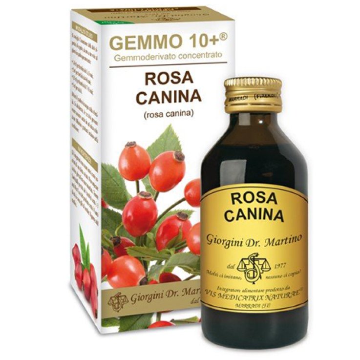 ROSA CANINA GEMMO 10+ GIORGINI S