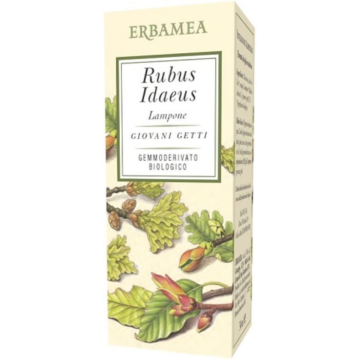RUBUS IDAEUS LAMPONE BIO 50ML