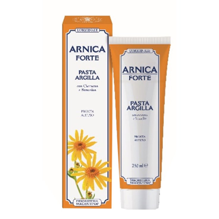 ARNICA FORTE PASTA ARGILLA 250ML