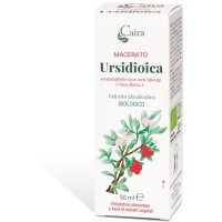 CAIRA M URSIDIOICA MACERATO BIO