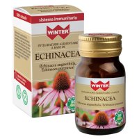 WINTER ECHINACEA 30CPS VEG WINTER ECHINACEA 30CPS VEG