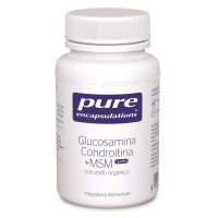 PURE ENCAPSUL GLUCOSAM+CONDROIT+