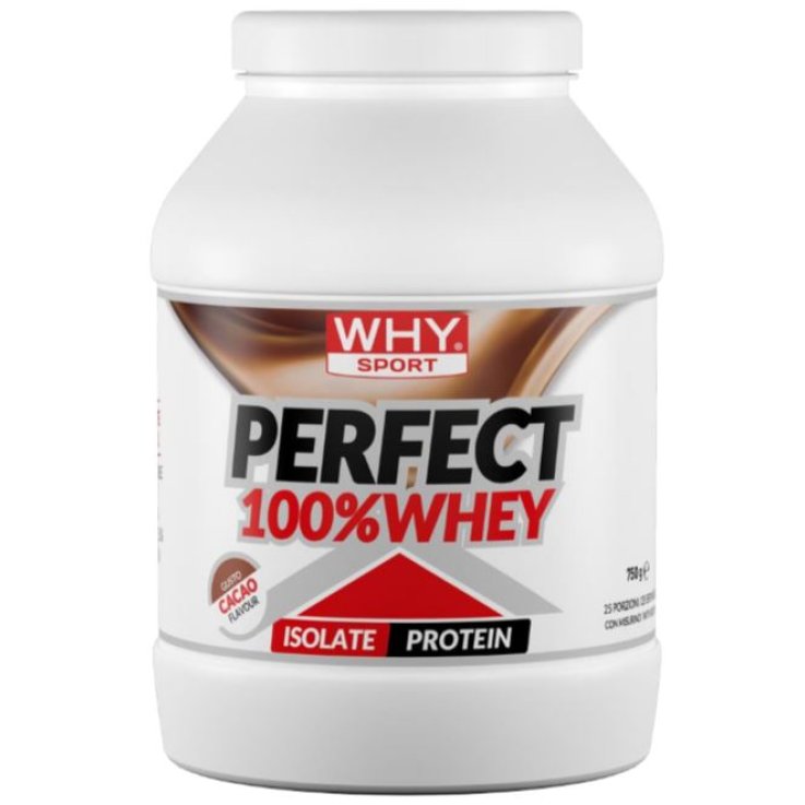 PERFECT 100 WHEY CACAO 900G