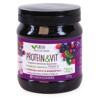 PROTEIN&VIT FRUTTI BOSCO 320G FA