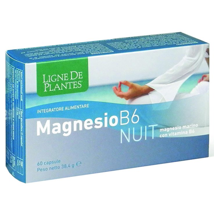 MAGNESIO B-6 NUIT 60CPS