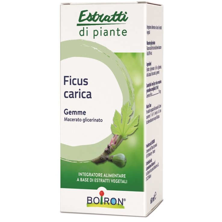 FICUS CARICA MG 60ML INT BOIRON