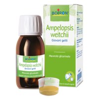 AMPELOPSIS WEI MG 60ML INT BOIRO