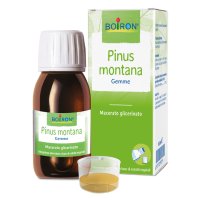 PINUS MONTANA MG 60ML INT BOIRON