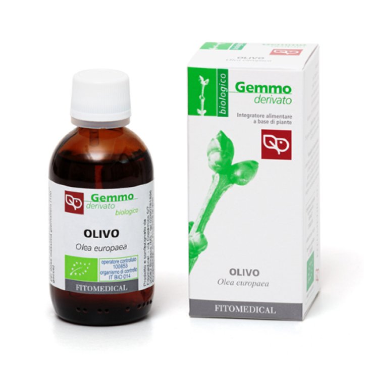 OLIVO MG BIO 50ML FITOMEDICAL