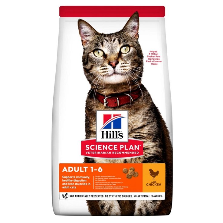 V HILLS SP CAT AD CKN 7KG POLLO