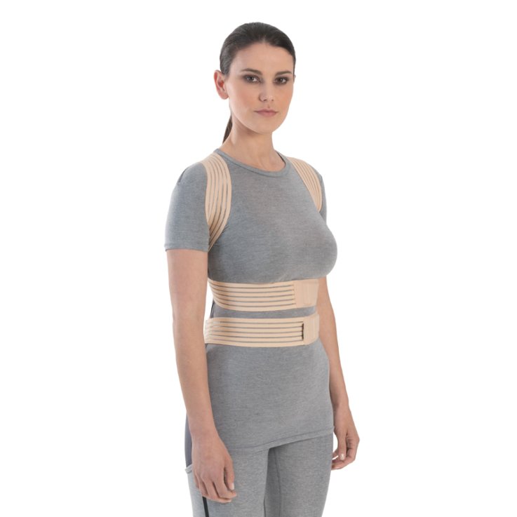 FGP Tut.Colon Dorsoll skin M