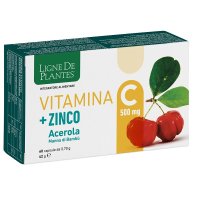 VITAMINA C 500MG+ZI/AC/BA60CPS