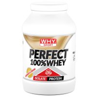 WHYSPORT PERFECT WHEY COOKIES WHYSPORT PERFECT WHEY COOKIES