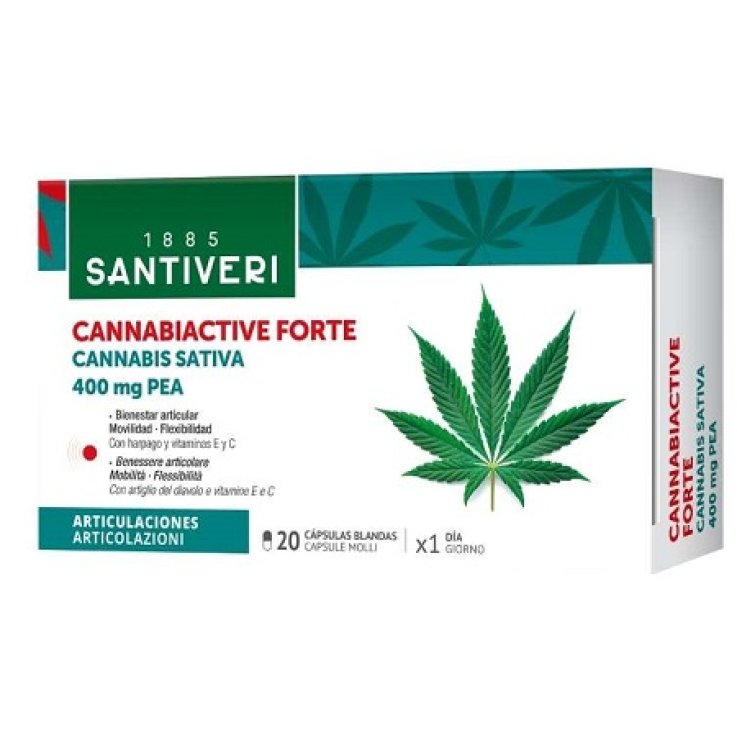 CANNABIACTIVE FORTE PEA 20CPS