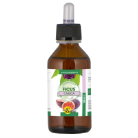 FICUS CARICA MG GTT 100ML