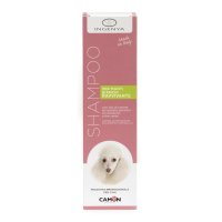 V INGENYA SHA MANTI BIANCHI DOG V INGENYA SHA MANTI BIANCHI DOG