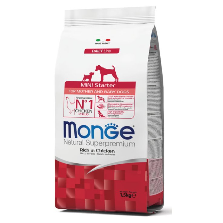 V MONGE MINI STARTER 1500GR