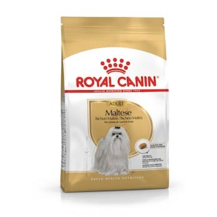 V BHN MALTESE ADULT 1,5KG