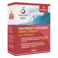 MAGNESIO POTASSIO VIT B 14STICK