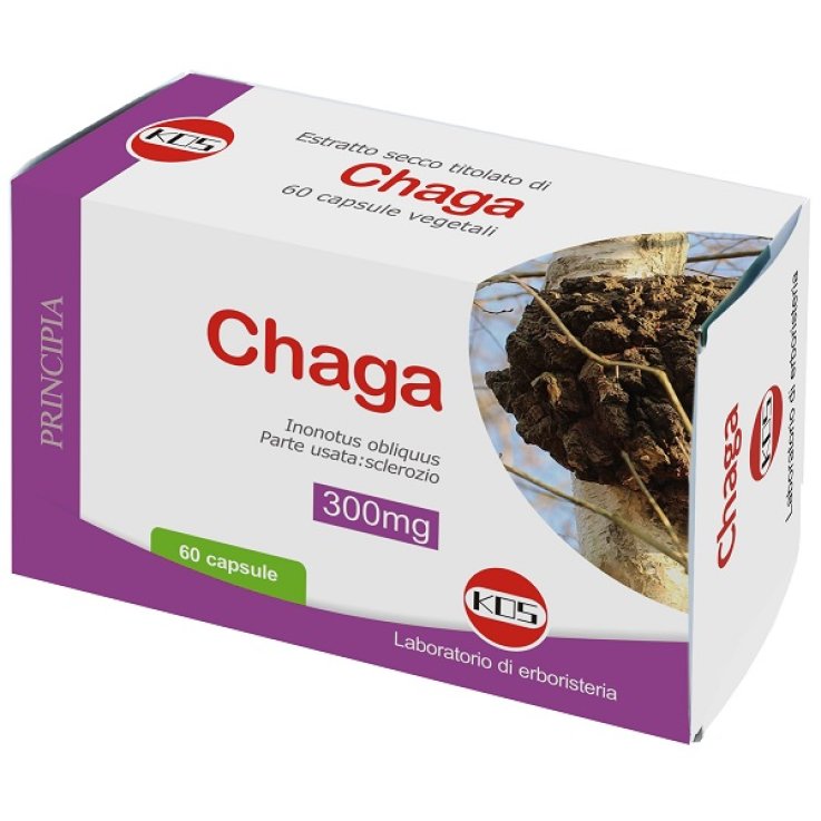 CHAGA ESTRATTO SECCO TIT 60CPS