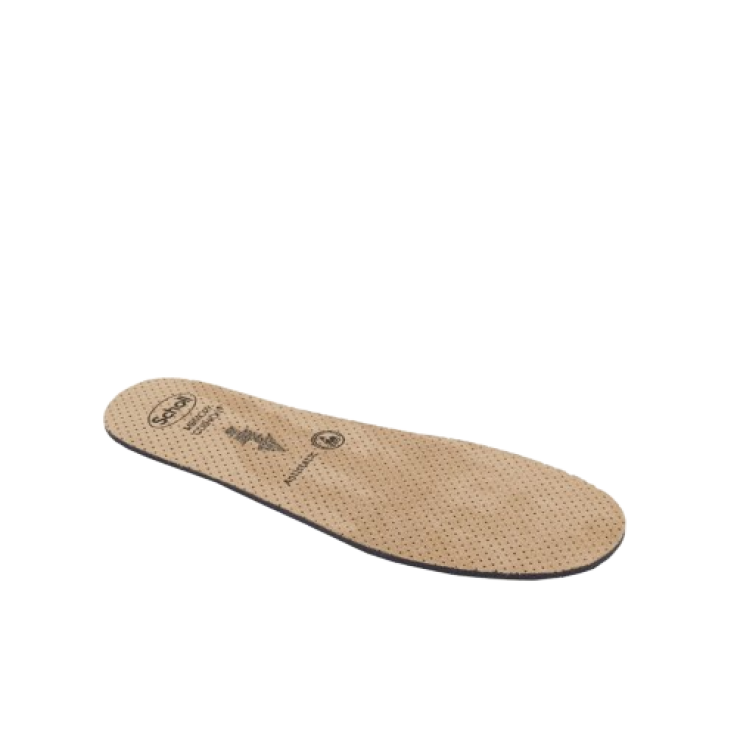 CLOG EVO Soletta A-Static43/44