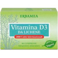 VITAMINA D3 LICHENE 2000UI 90CPR