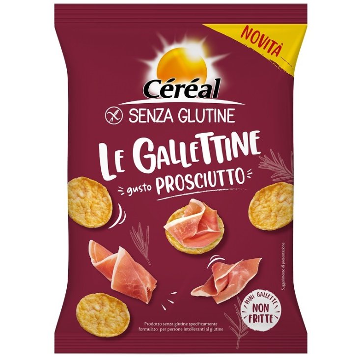 CEREAL Gallettine Prosc.70g