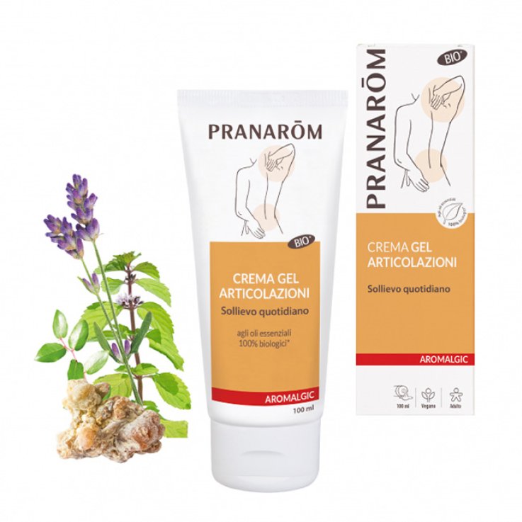 PRANAROM ALGIC Crema Art.100ml