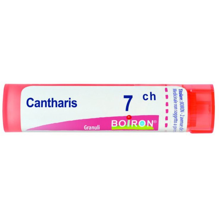 CANTHARIS  7CH GRN           B