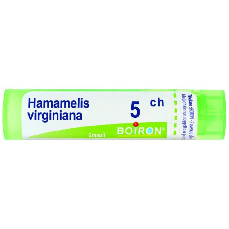 HAMAMELIS  5CH GRN           B