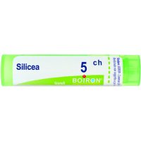 SILICEA  5CH GRN             B