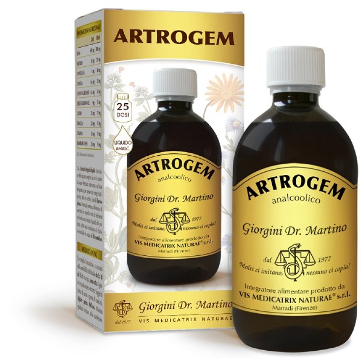 ARTROGEM LIQ ANALCOLICO 500ML GI