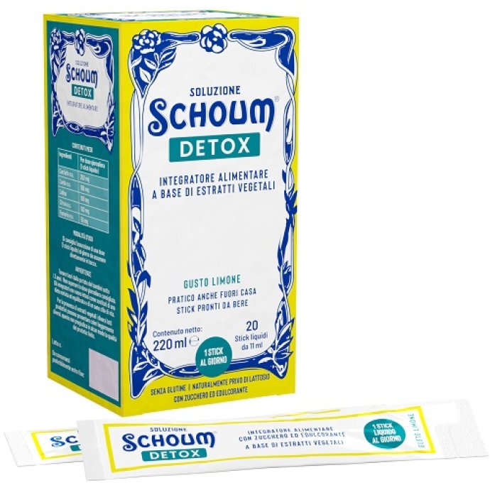 SOLUZIONE SCHOUM DETOX 20STICK