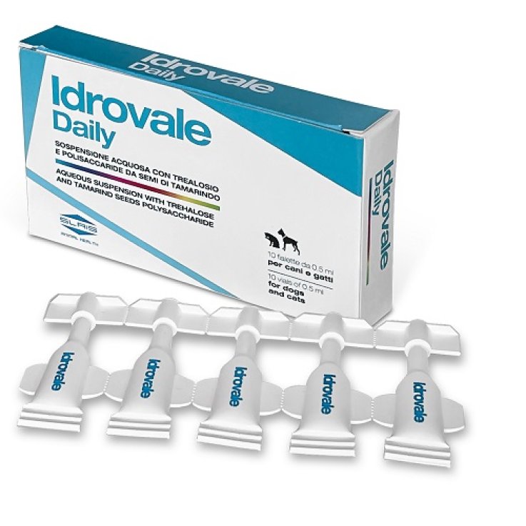 V IDROVALE DAILY 10F