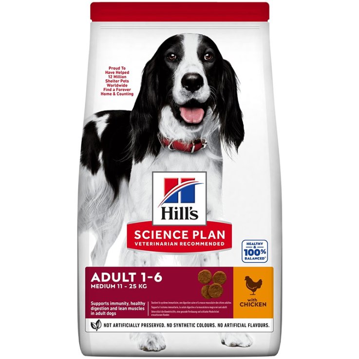 V HILLS SP DOG AD.MEDIO 2,5KG  P