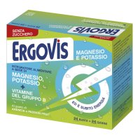 ERGOVIS MG+K VIT B S/ZUCC.24BST