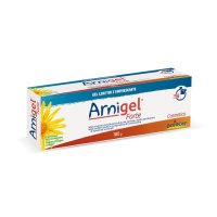 ARNIGEL FORTE 100G BOIRON