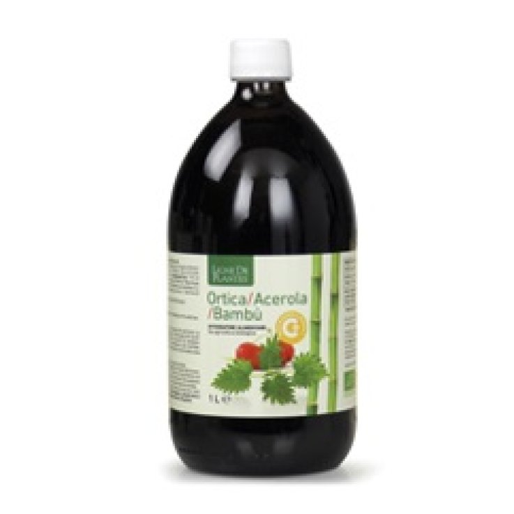 ORTICA ACEROLA BAMBU BIO 1L