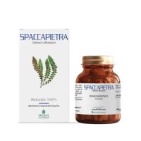 SPACCAPIETRA 50 Cps PRP