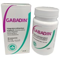 GABADIN 30 Cpr