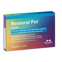 V REUTERAL PET CANE 30CPS