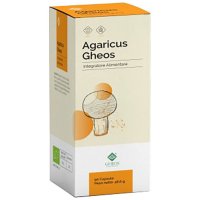 AGARICUS GHEOS 90CPS AGARICUS GHEOS 90CPS