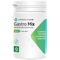 GASTRO MIX 90CPR GASTRO MIX 90CPR
