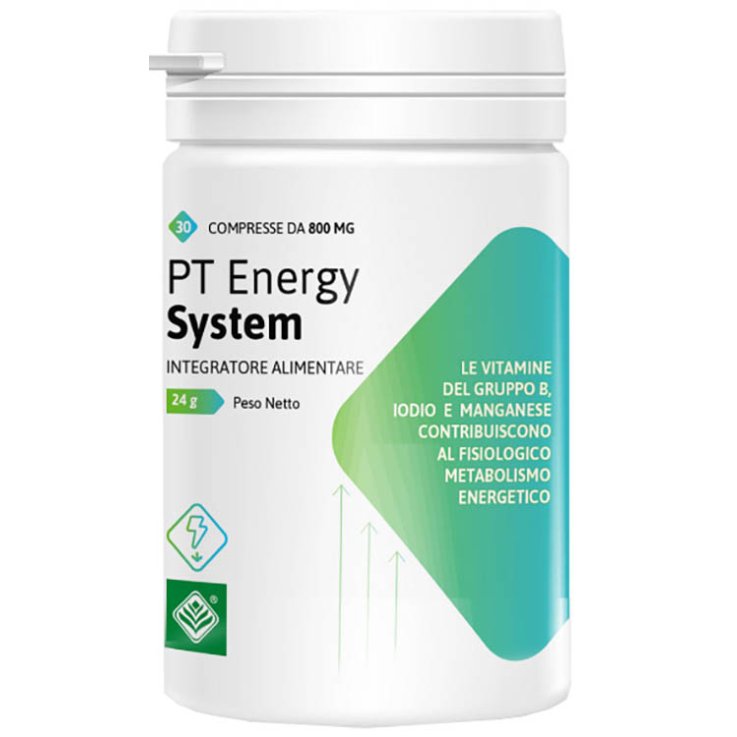 PT ENERGY SYSTEM N/F 30CPR 24GR