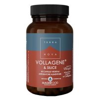 TERRANOVA VOLLAGENE&SILIC50CPS TERRANOVA VOLLAGENE&SILIC50CPS