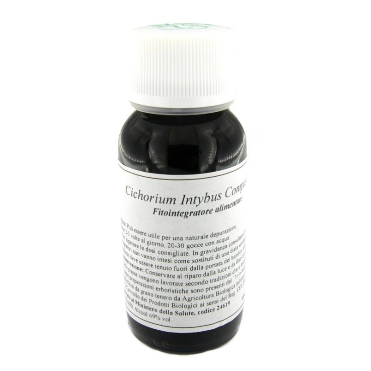 VILLA STODDARD 05-N (CICHORIUM)