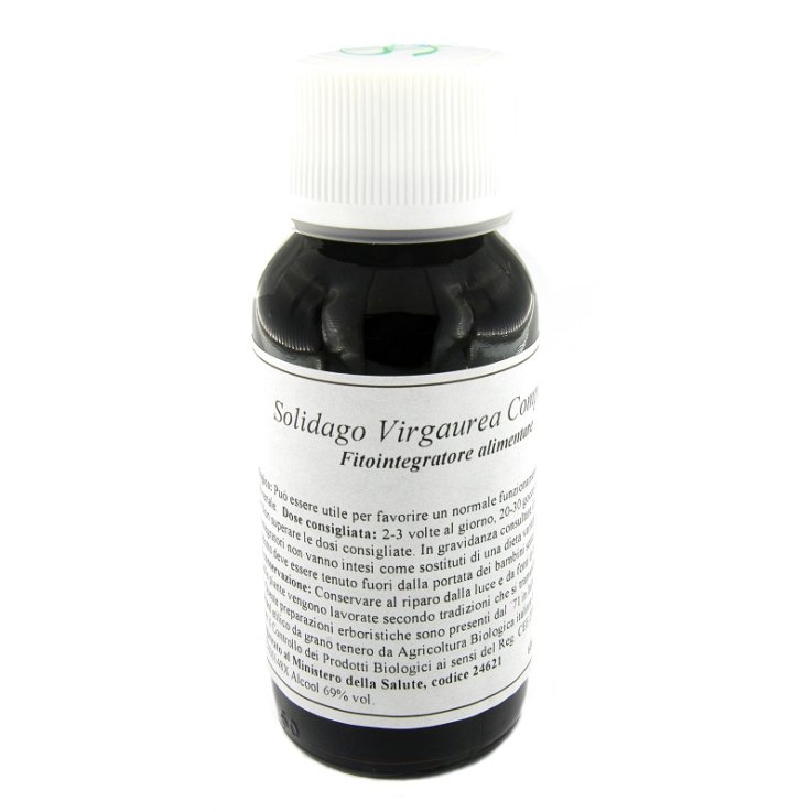 VILLA STODDARD 07N SOLIDAGO VIRG