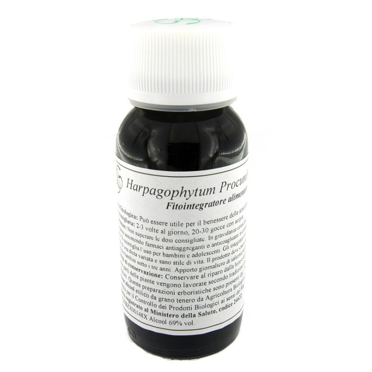 VILLA STODDARD 08N HARPAGOPHYTUM